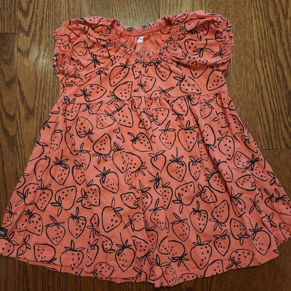 Tea Collection Strawberry Dress Size 3